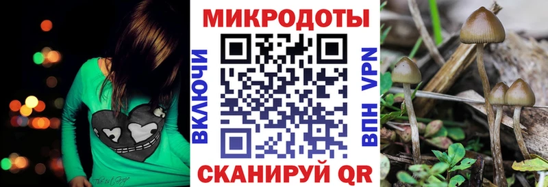 Псилоцибиновые грибы GOLDEN TEACHER  купить наркотик  Малмыж 